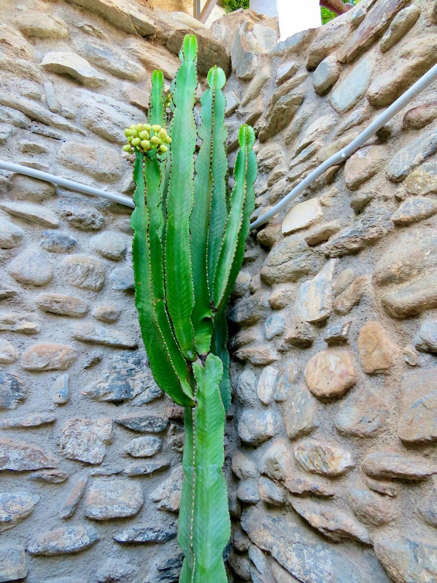 El Encanto Monachil Extérieur photo